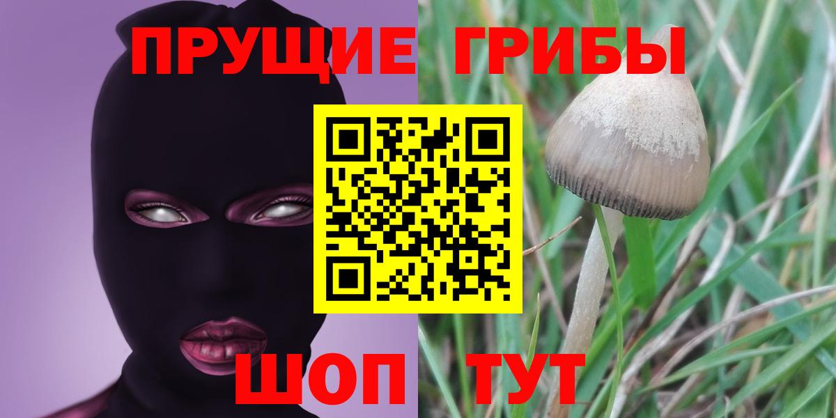 Сокол  Галлюциногенные грибы Psilocybe  наркошоп  Галлюциногенные грибы MAGIC MUSHROOMS  Вход с VPN 